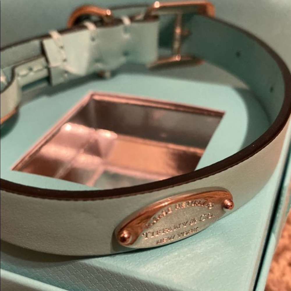 Tiffany & Co. Dog Collar